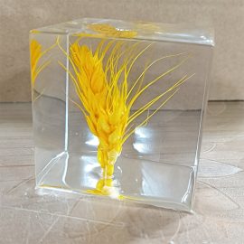 Custom resin home decoration real wheat ear crafts